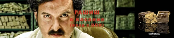 PSILOCYBIN Алзамай