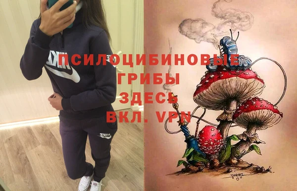 мдпв Михайлов