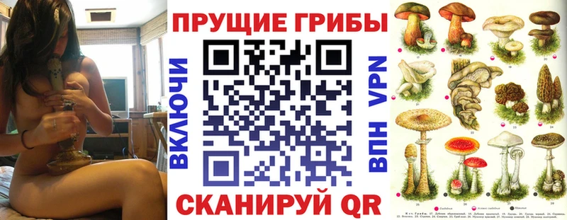 Галлюциногенные грибы мицелий Шацк